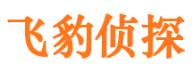 镇江市婚外情调查